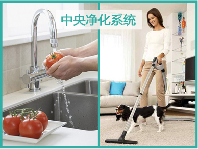 中央净化系统